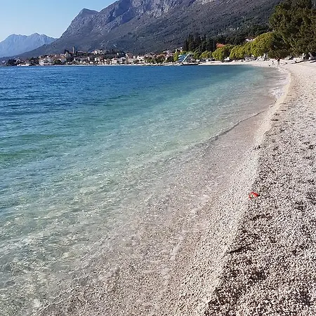 Mare *